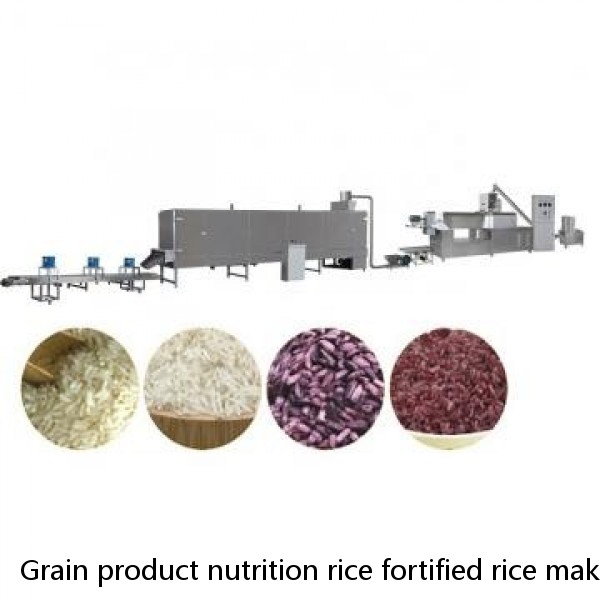 Grain product nutrition rice fortified rice making machine artificial rice processing equipment best price