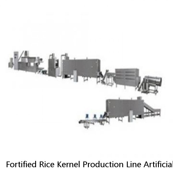 Fortified Rice Kernel Production Line Artificial Rice Extruder Making Machine fully-auto artificial rice making machine