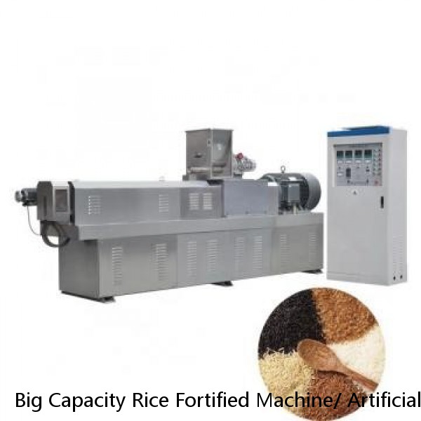 Big Capacity Rice Fortified Machine/ Artificial Nutrition Rice Making Machine Extruder/ Reconstituted Rice Processing Line