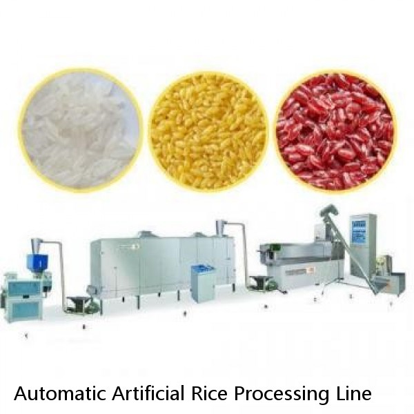 Automatic Artificial Rice Processing Line