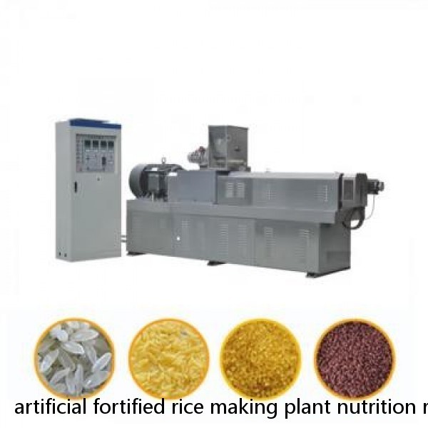 artificial fortified rice making plant nutrition rice making machine extruder production line