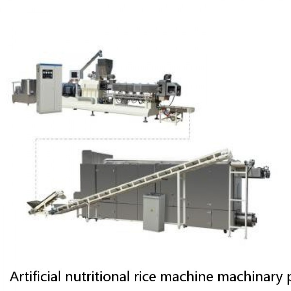 Artificial nutritional rice machine machinary processing line fortified rice kernels machine manufacturers